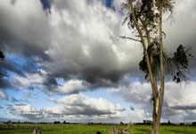 雷速体育：哈蘭德腹股溝舊傷未愈！至今仍未參與隊內訓練 恐無緣大戰利物浦！.
