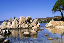 官方:加斯帕里尼停赛1场,亚特兰大因球迷投掷烟雾弹被罚款8千欧.